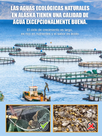 💡Zero trans fats, bez konserwantów, wysoka zawartość białka i wapnia, gotowe do natychmiastowego spożycia - niezwykle wygodne! 💡