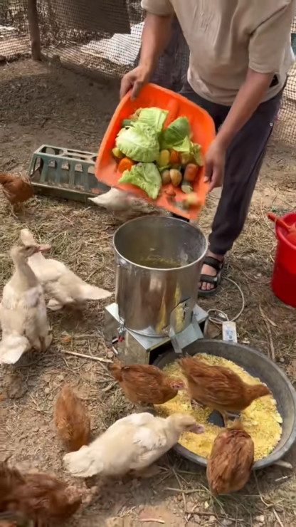 Multi-Purpose Poultry & Livestock Fodder Chopper & Grinder