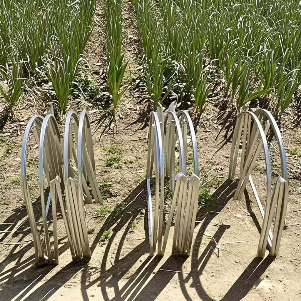 Mobile Chicken Coop Run,Foldable Chicken Tunnel