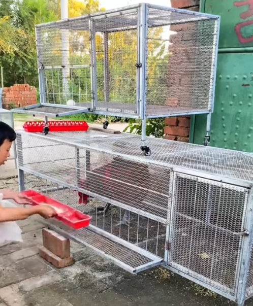 Portable Foldable Large Chicken Coop Runs Poultry Cage for Yard, Outdoor, Indoor