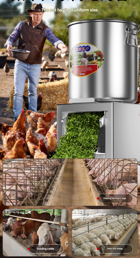 Multi-Purpose Poultry & Livestock Fodder Chopper & Grinder