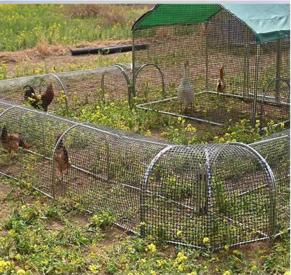 Mobile Chicken Coop Run,Foldable Chicken Tunnel