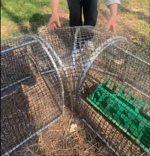 Mobile Chicken Coop Run,Foldable Chicken Tunnel
