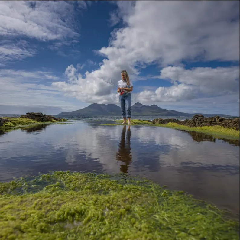 2026 Knitting Challenge Calendar