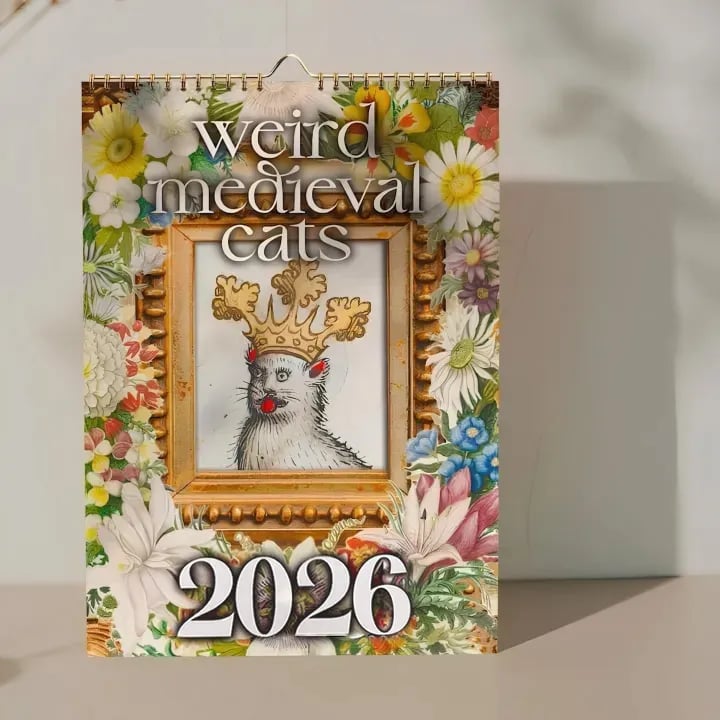 🔥LAST DAY 50% OFF - 🐱Whimsical Medieval Cats 2026 Calendar⚔️📅