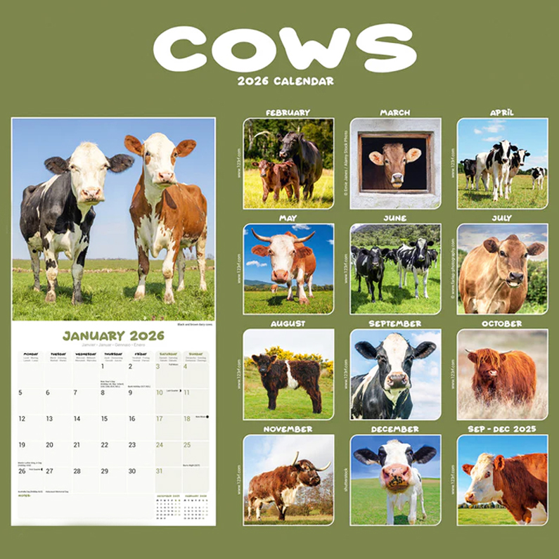 Cows Calendar 2026