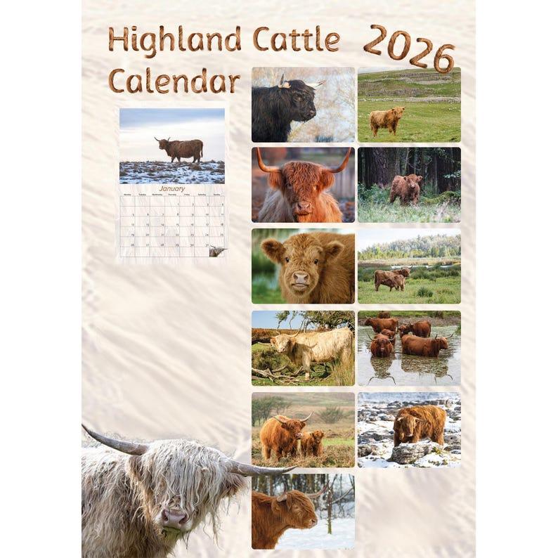 Highland Cow Wall Calendar 2026: A4 Spiral Bound,