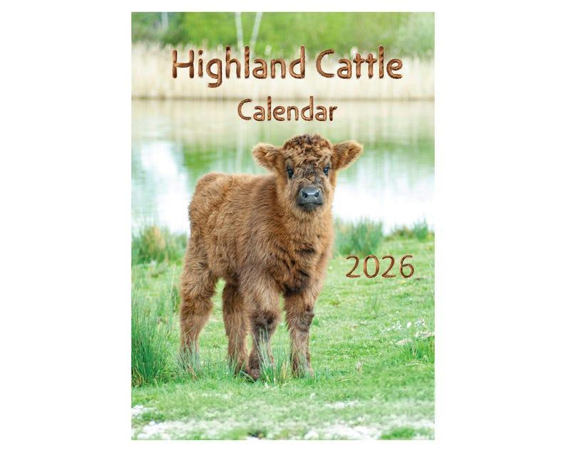 Highland Cow Wall Calendar 2026: A4 Spiral Bound,