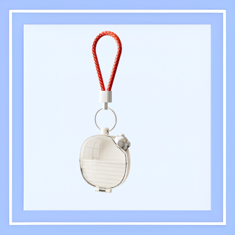 Cutie de depozitare pentru organizarea mini cerceilor exquisite