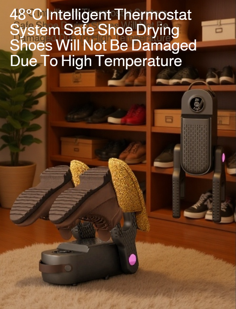 Fast and efficient shoe drying device