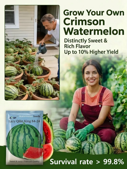 [【100% Survival Guarantee】 Crimson Sweet Seedless Watermelon 🍉 | XXL Jumbo Fruit | Heat Resistant to 45°C🌡️| Harvest in 60 Days | Ideal for Balcony or Garden