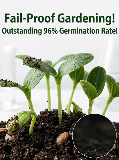 [【100% Survival Guarantee】 Crimson Sweet Seedless Watermelon 🍉 | XXL Jumbo Fruit | Heat Resistant to 45°C🌡️| Harvest in 60 Days | Ideal for Balcony or Garden
