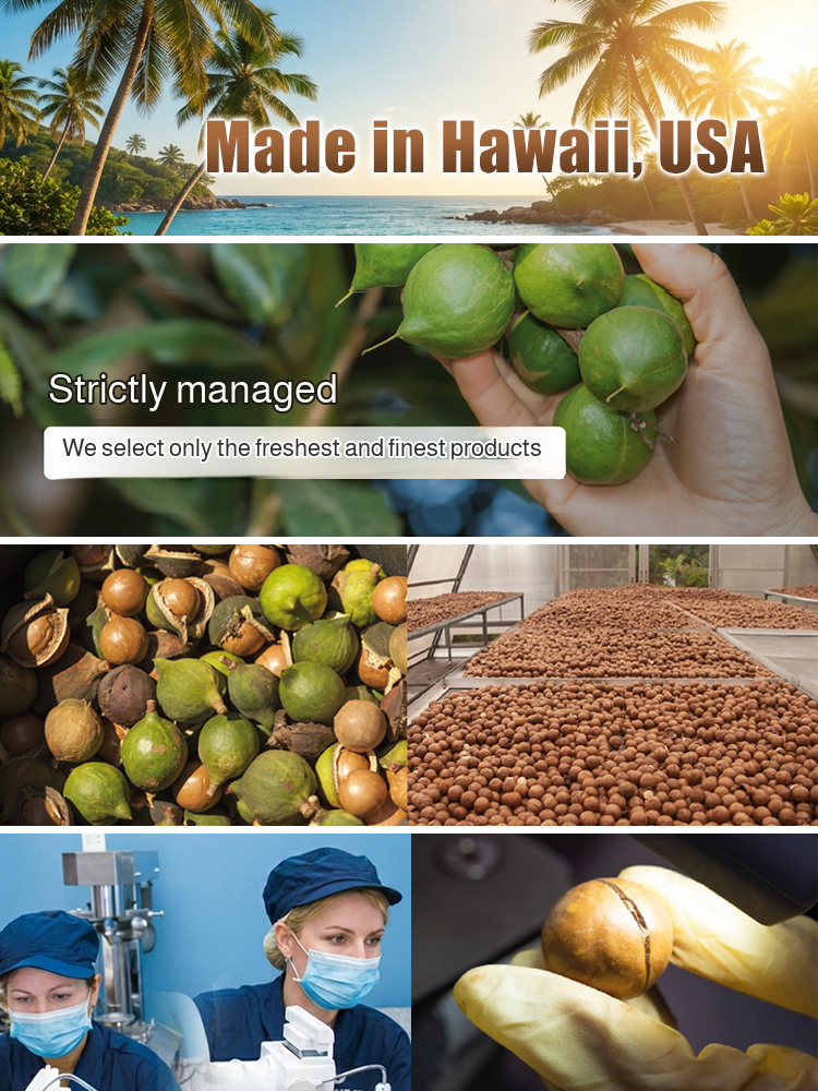 The "Queen of Nuts"Premium Macadamias - Rich Buttery Flavor - Nutrient-Dense Superfood - Larger Than A Coin 🌰 Direct-from-FarmSale + FREE Easy Shell Opener 🎁📉