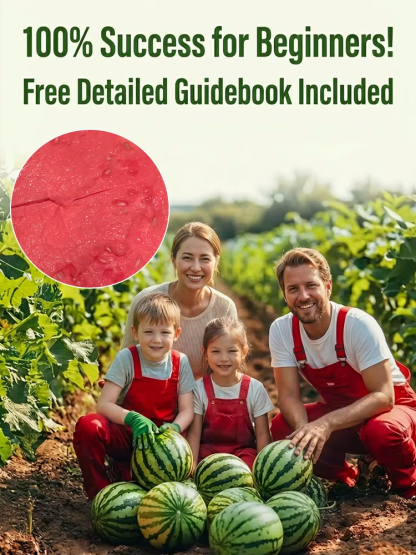 [【100% Survival Guarantee】 Crimson Sweet Seedless Watermelon 🍉 | XXL Jumbo Fruit | Heat Resistant to 45°C🌡️| Harvest in 60 Days | Ideal for Balcony or Garden