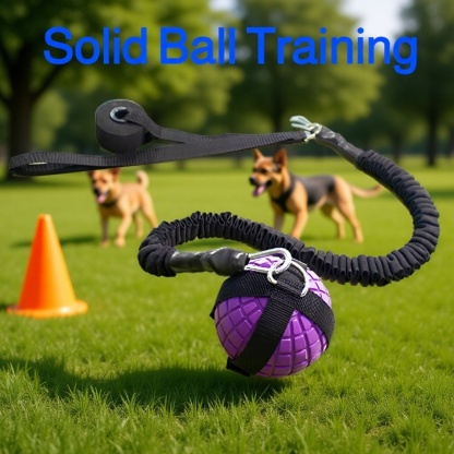 Solid Ball Training Aid Rope