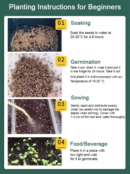 [✨No soil required, full refund if germination rate is less than 98%!] 3-day germination, 4-season fast-growing hydroponic lettuce seeds