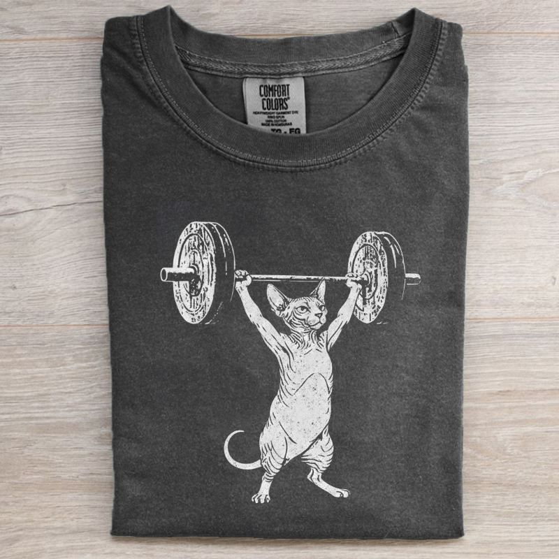 Funny Sphynx Gym T-Shirt