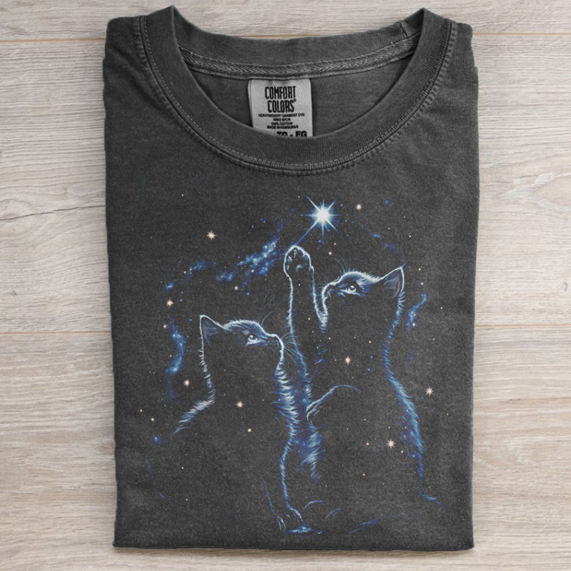 Two Cats Playing Galaxy Vintage Graphic T-shirt