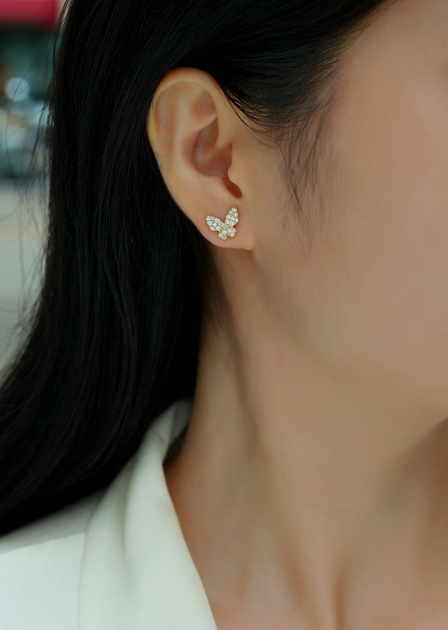 Z001-SE15287Y01-Captivation