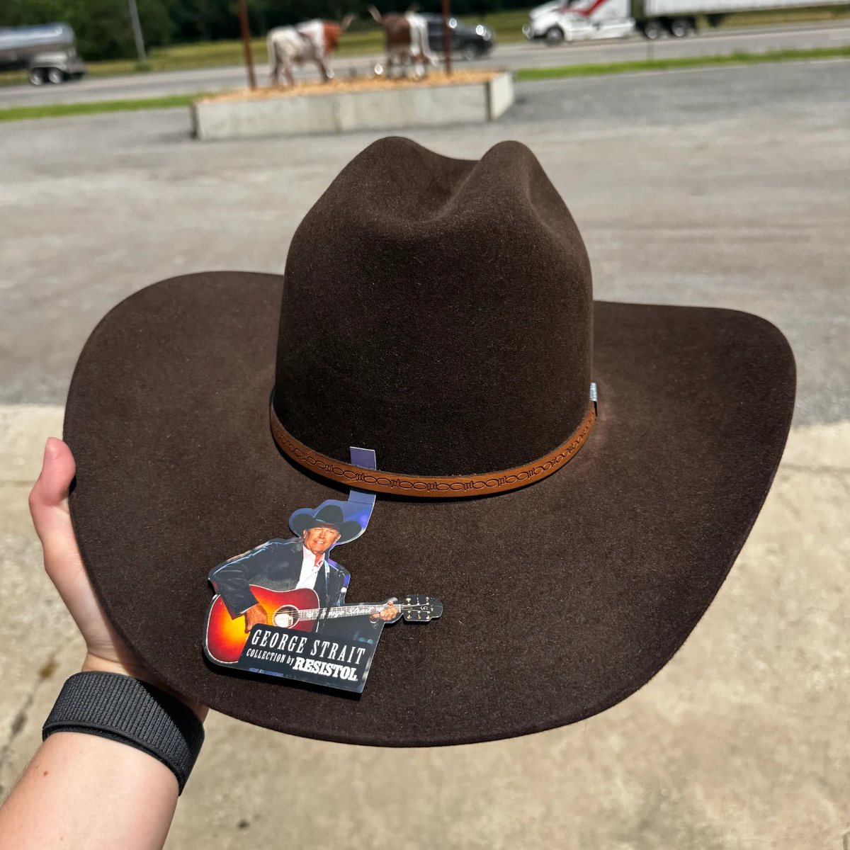 Brown Western Melody