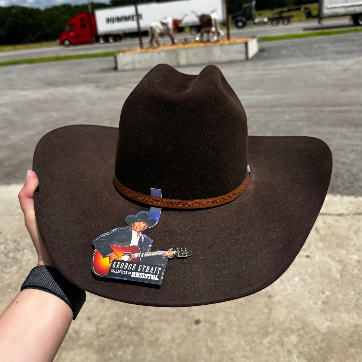 Brown Western Melody