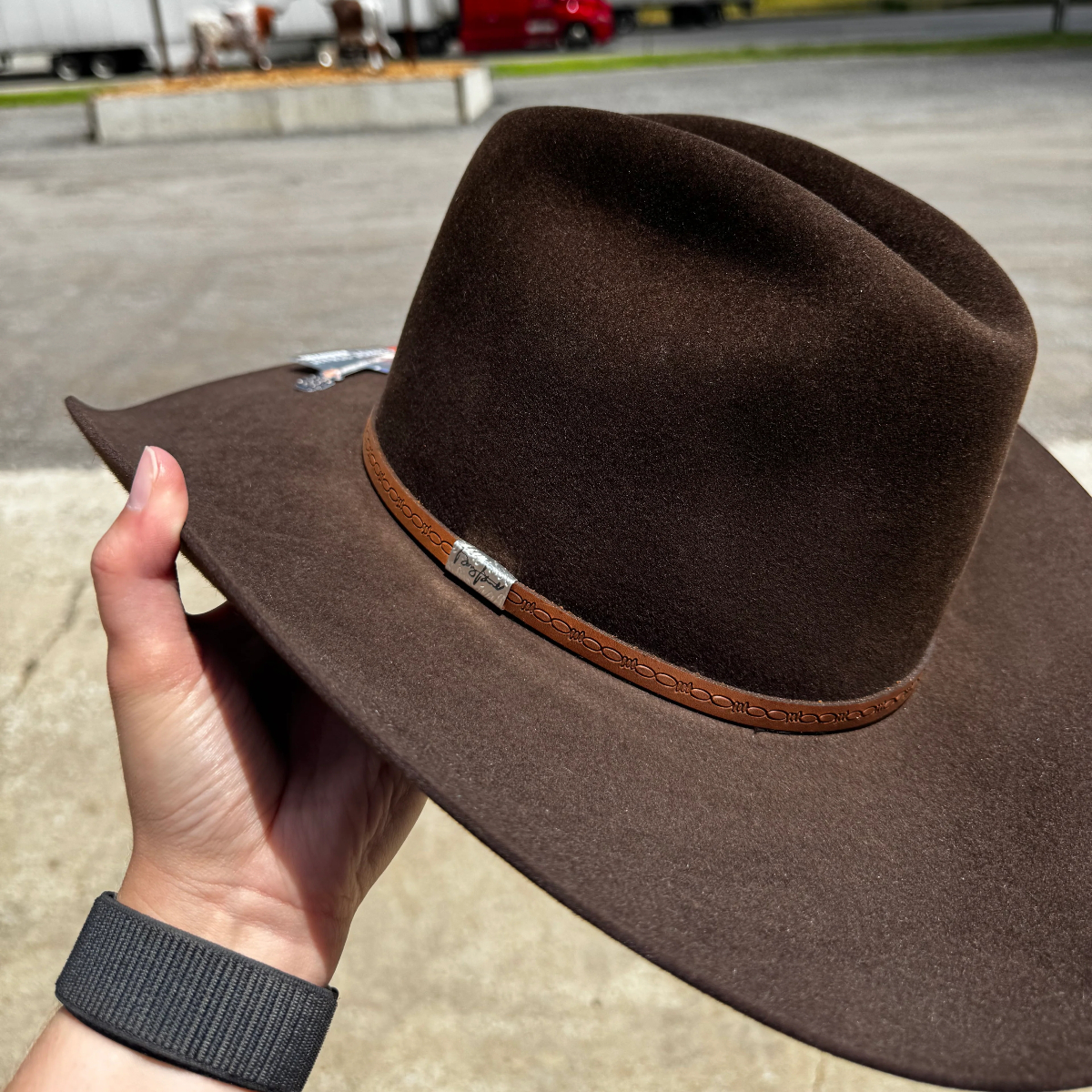 Brown Western Melody