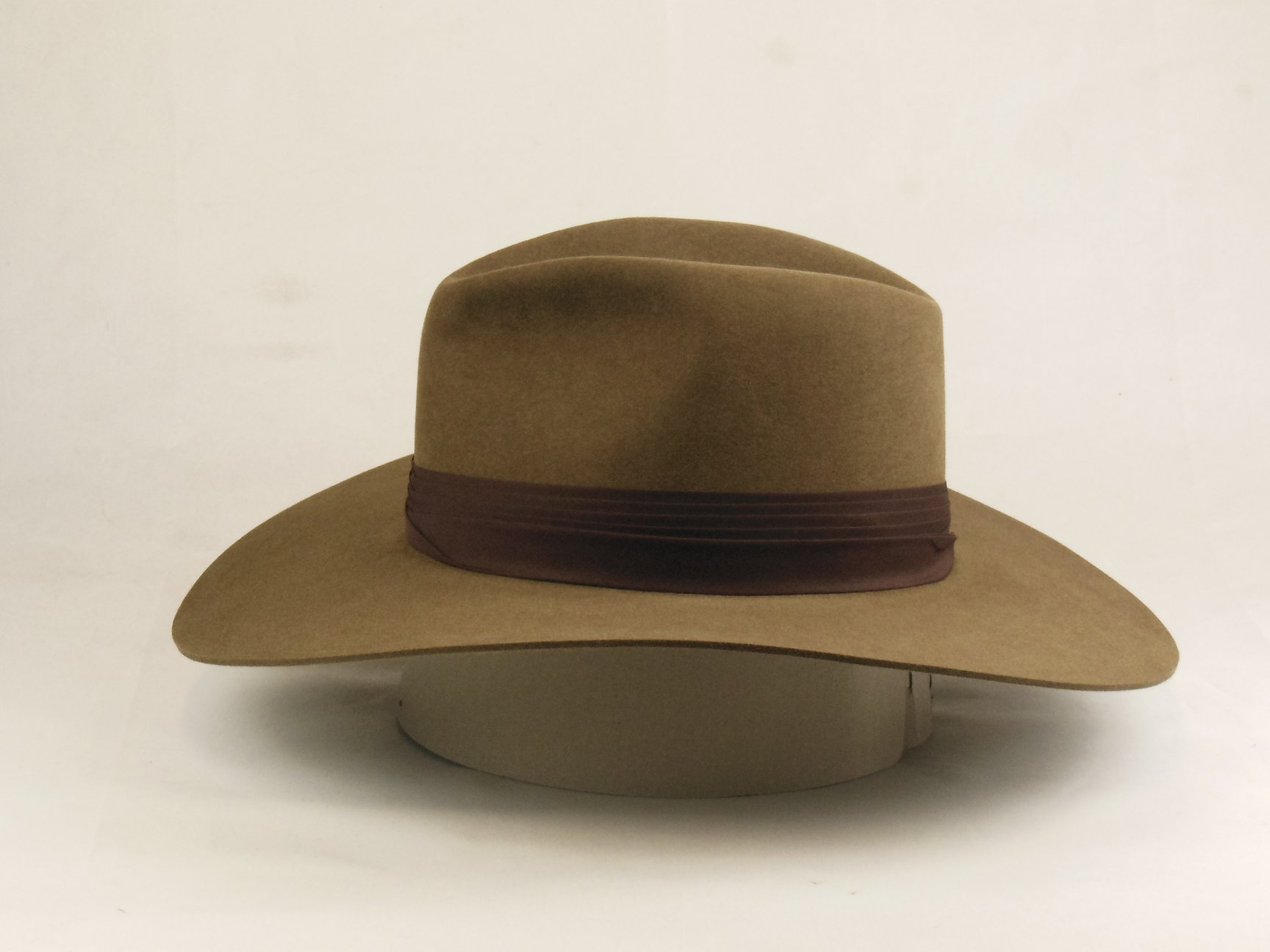 Light Brown Brim