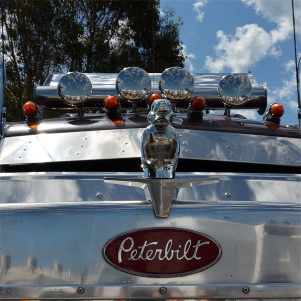 🔥🦆 Convoy Duck Hood Ornament 🚚✨