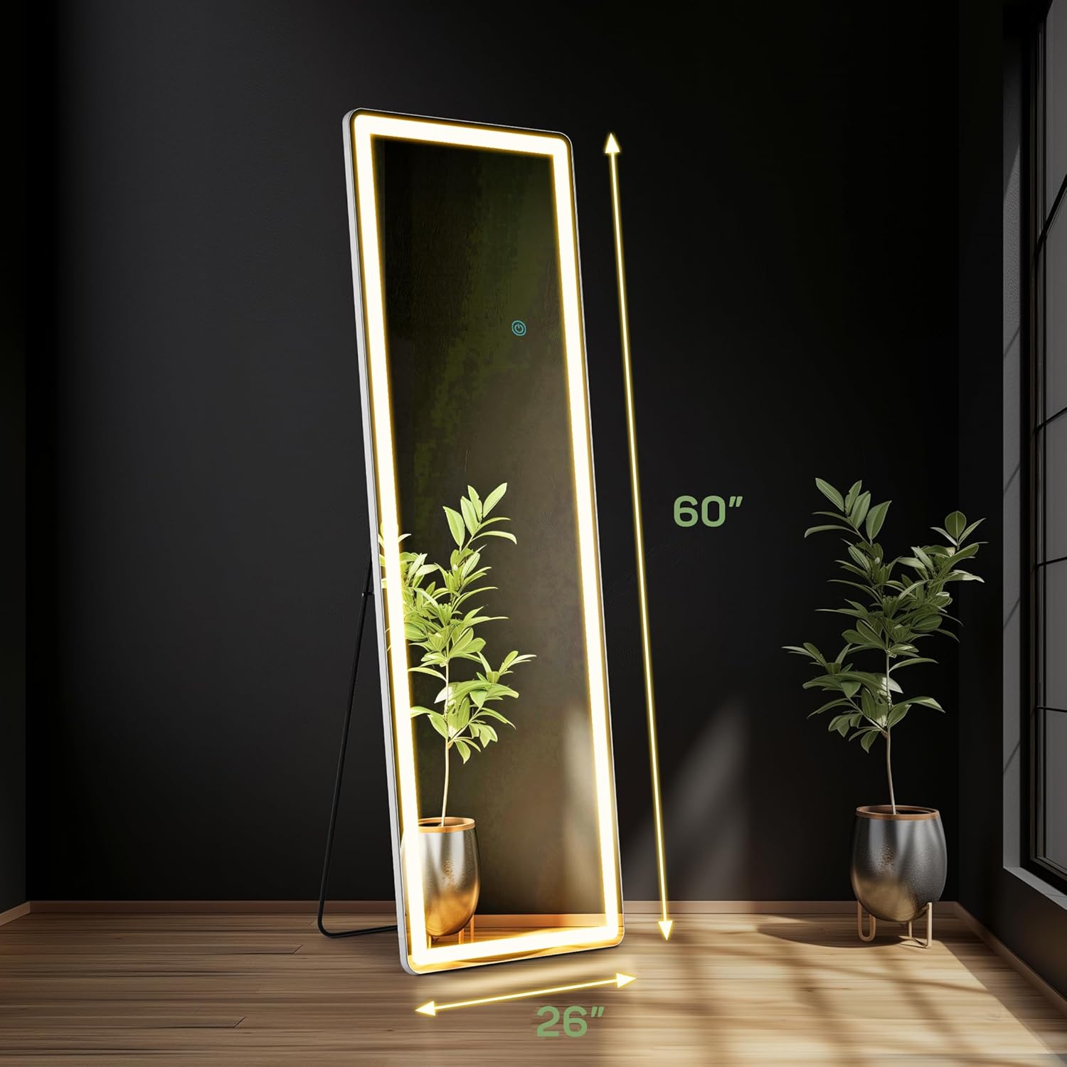  Mirror Full Length with LED Lights
