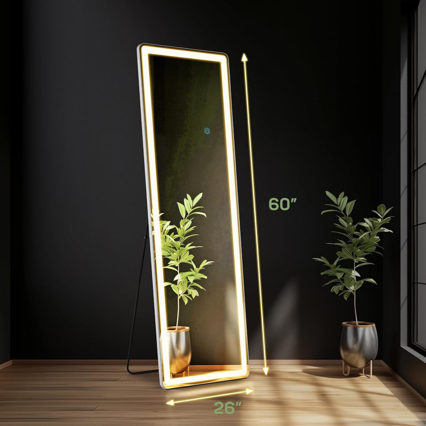  Mirror Full Length with LED Lights