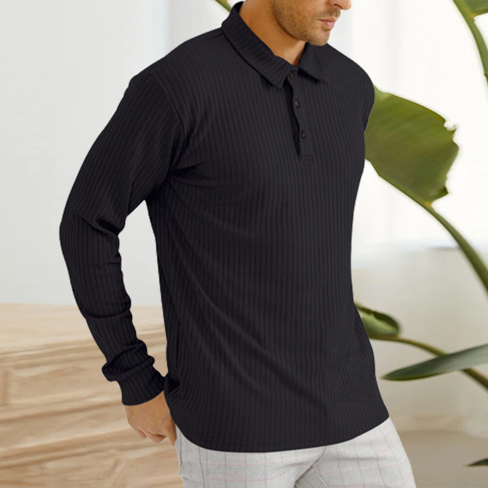 Blauschwan™ Herren Classic Casual Revers Knopf Langarm Polo Shirt