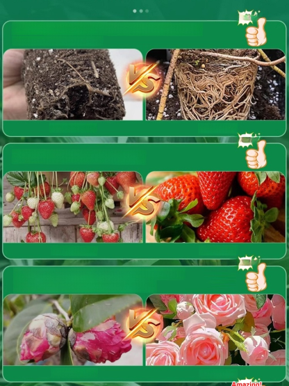 Simply insert them into soil and they slowly release the nutrients your flowers and vegetables need over 90 days, helping them thrive.