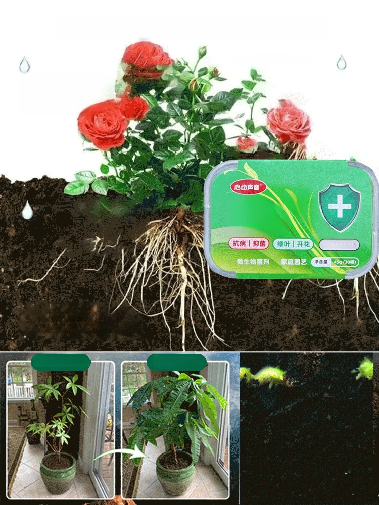 Simply insert them into soil and they slowly release the nutrients your flowers and vegetables need over 90 days, helping them thrive.