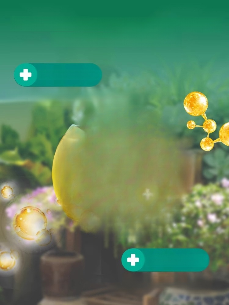 Simply insert them into soil and they slowly release the nutrients your flowers and vegetables need over 90 days, helping them thrive.