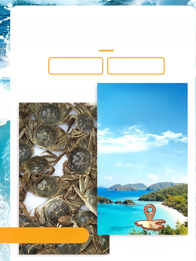 More addictive than chips and spicy corn snacks, golden spicy little crabs. Made from wild crabs from the pristine waters