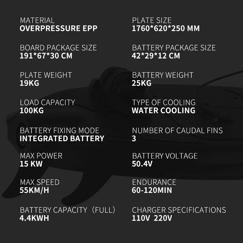 ZAI HAI| Electric Surfboard | BLACK RIDER G2 14KW | Most