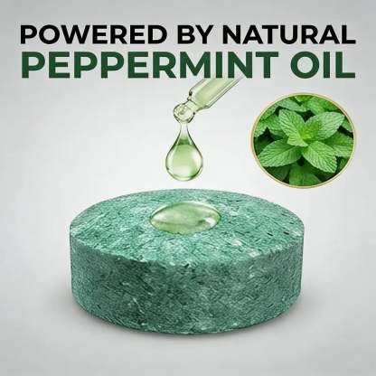 Peppermint Cinnamon Oil Mice Repellent for Squirrel Rats Spider Pests, Mice Repellent for Indoor/Outdoor Use