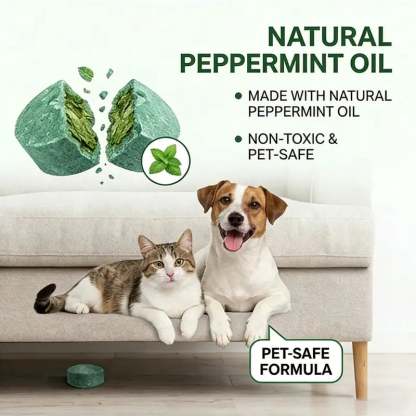 Peppermint Cinnamon Oil Mice Repellent for Squirrel Rats Spider Pests, Mice Repellent for Indoor/Outdoor Use