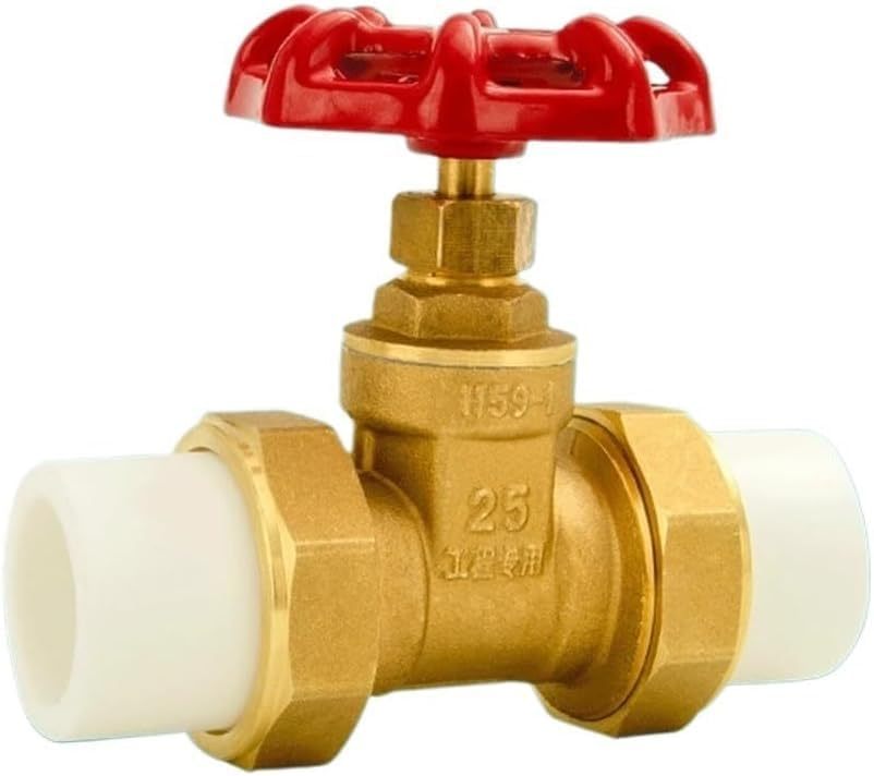 Fornello Elettrico a Induzione 1000W Piastra Multifunzionale Teiera Scaldabagno 220V Dn63-Dwellingra