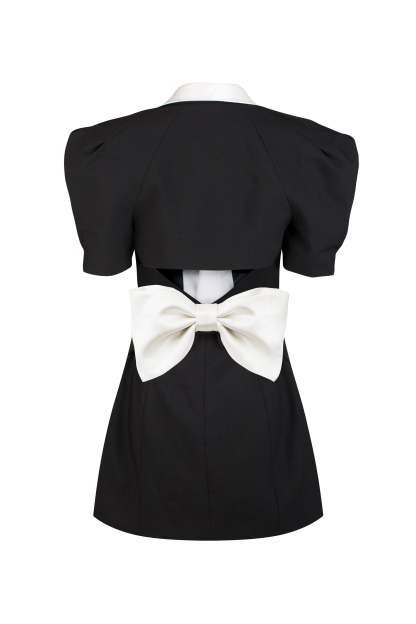 Elsie V-neck Backless Bowtie Mini Dress-ROVOLE