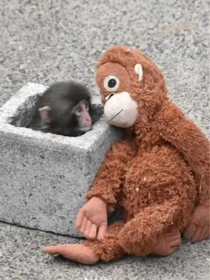 Cute Little Monkey Punch Plush Toy