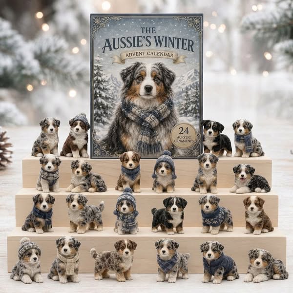 Winter Australian Shepherd Advent Calendar 2026 - 24-Day Festive Countdown