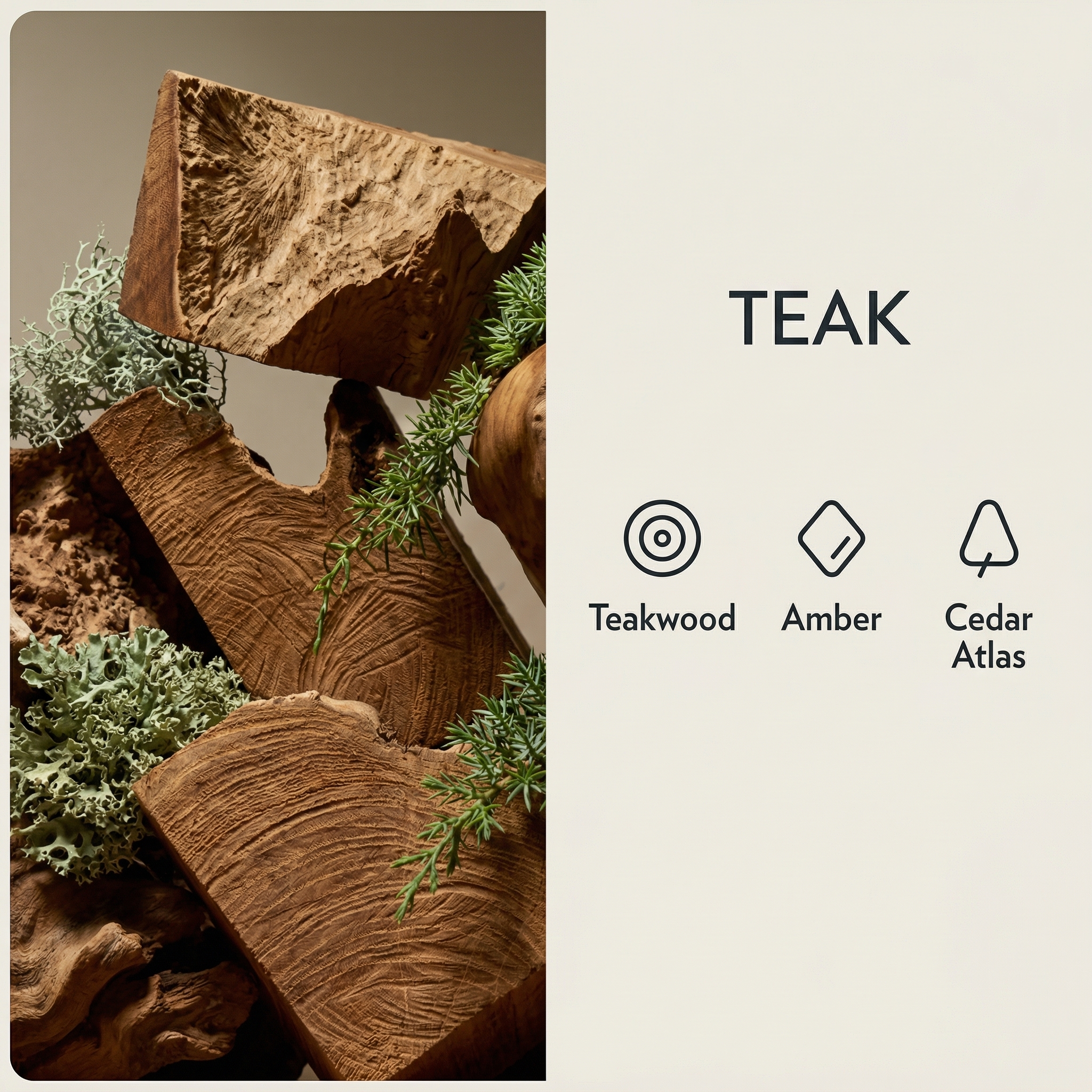 Wood Car Freshener
