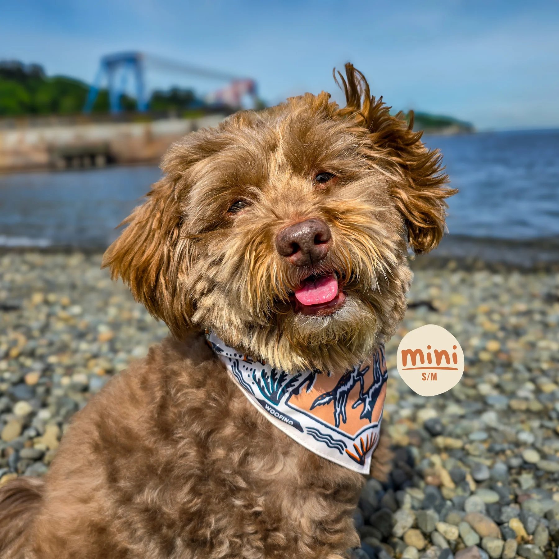 🐶2-in-1 Reversible Dog Bandana Bowl, Lightweight Spill-Proof TPU Travel Feeding Bowl for All Dogs Outdoor Hiking Camping💧