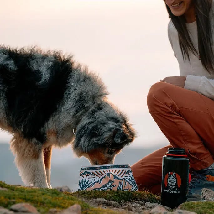 🐶2-in-1 Reversible Dog Bandana Bowl, Lightweight Spill-Proof TPU Travel Feeding Bowl for All Dogs Outdoor Hiking Camping💧