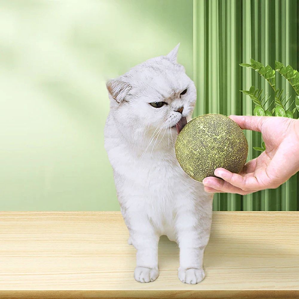 Giant Catnip Ball - Extra Large 10cm+ Jumbo Size For Cats