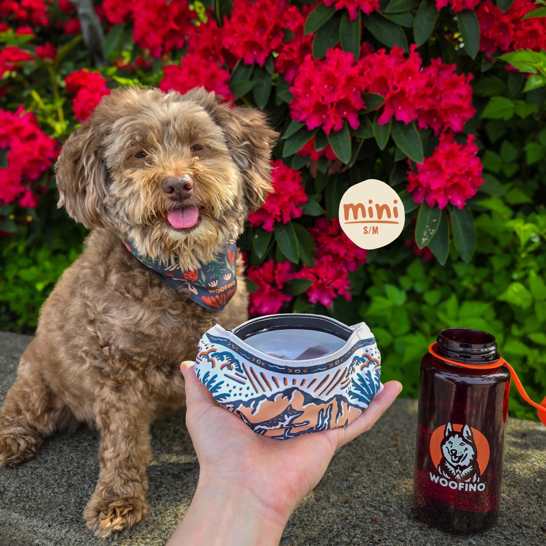 🐶2-in-1 Reversible Dog Bandana Bowl, Lightweight Spill-Proof TPU Travel Feeding Bowl for All Dogs Outdoor Hiking Camping💧