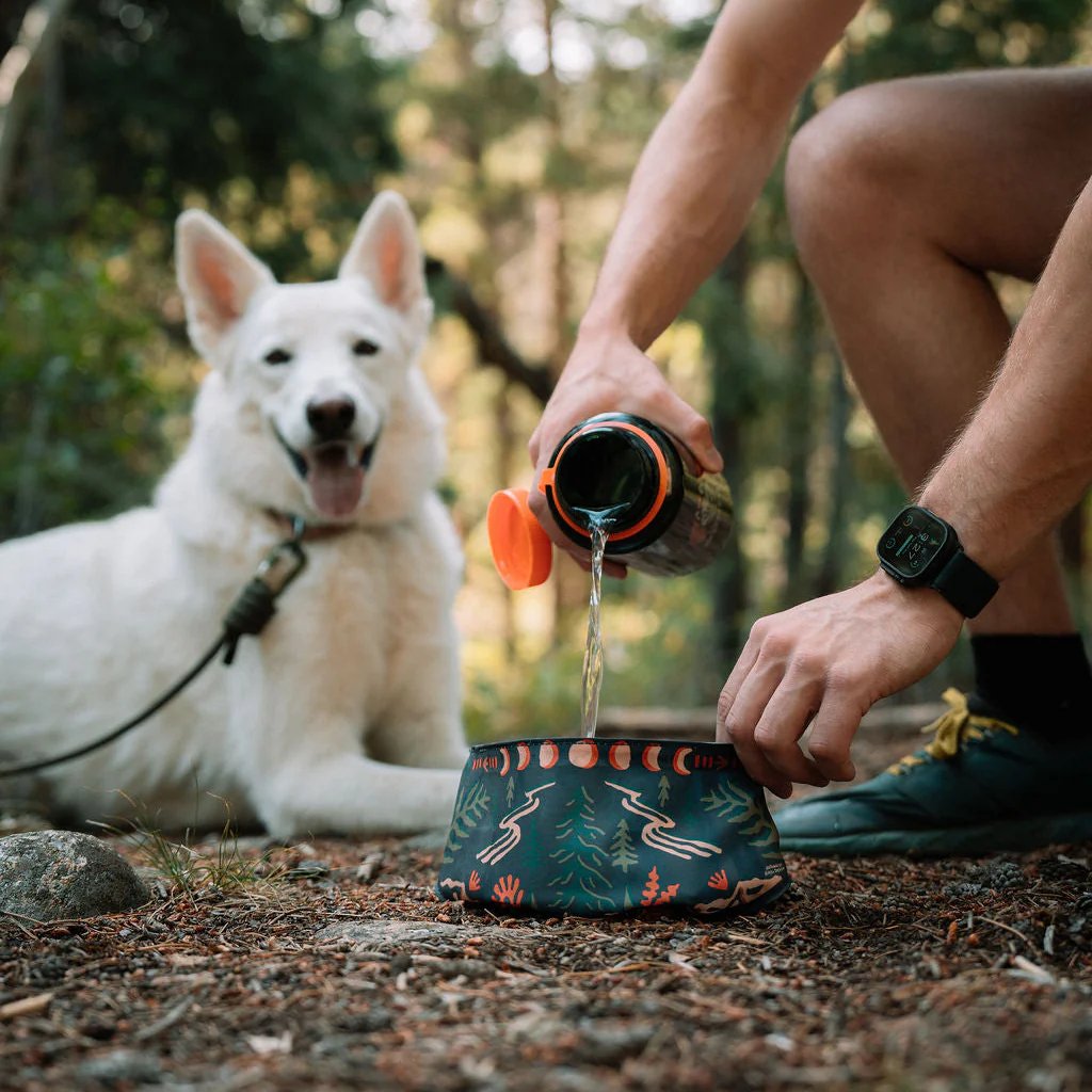 🐶2-in-1 Reversible Dog Bandana Bowl, Lightweight Spill-Proof TPU Travel Feeding Bowl for All Dogs Outdoor Hiking Camping💧