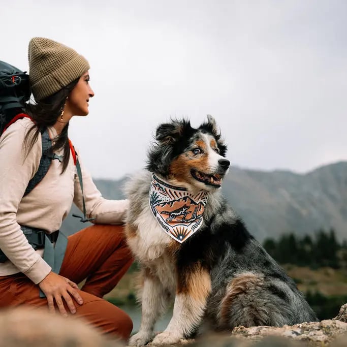 🐶2-in-1 Reversible Dog Bandana Bowl, Lightweight Spill-Proof TPU Travel Feeding Bowl for All Dogs Outdoor Hiking Camping💧