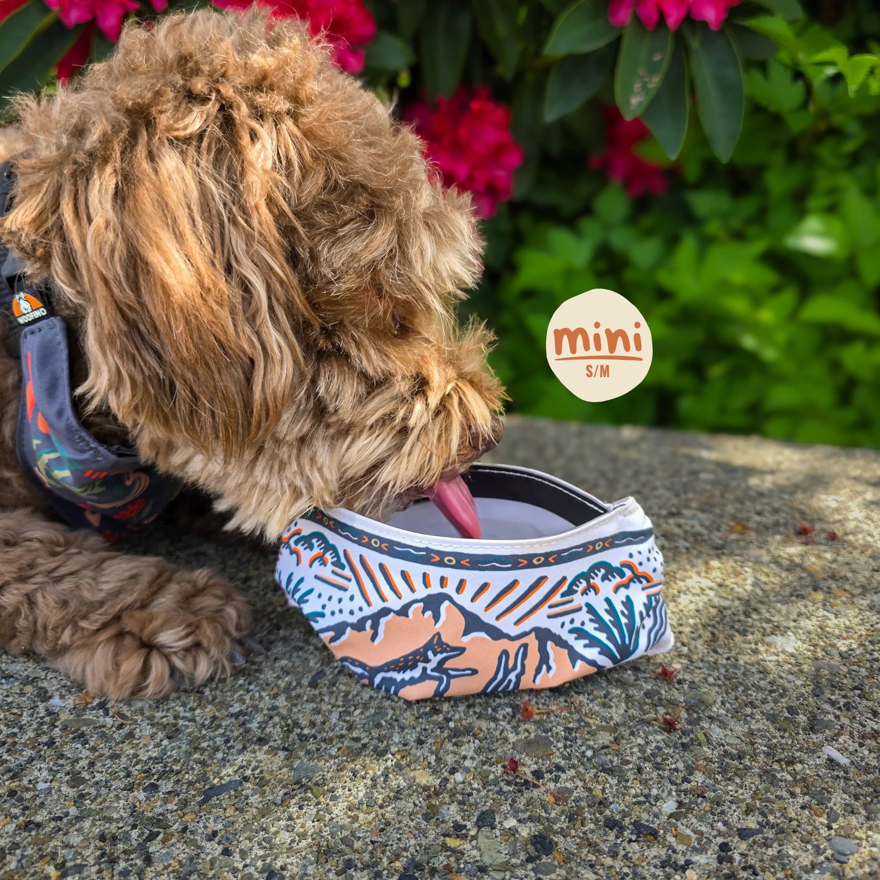 🐶2-in-1 Reversible Dog Bandana Bowl, Lightweight Spill-Proof TPU Travel Feeding Bowl for All Dogs Outdoor Hiking Camping💧